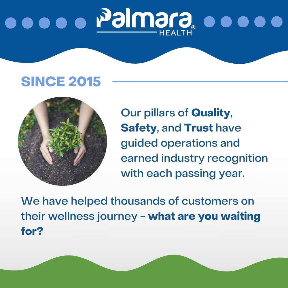 
                  
                    Level Off | Palmara Health
                  
                