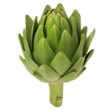 Artichoke, an antioxidant-rich ingredient in Level Off, supporting glucose regulation and metabolic health.